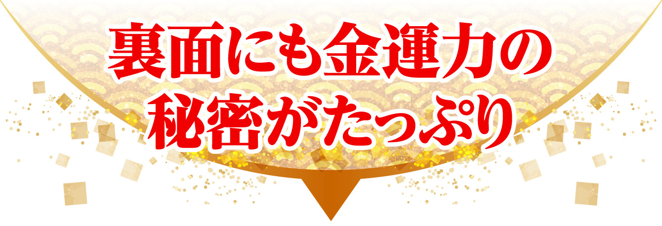裏面にも金運力の秘密がたっぷり