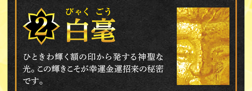 【2.白毫】ひときわ輝く額の印から発する神聖な光。この輝きこそが幸運金運招来の秘密です。