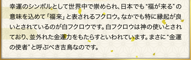 幸運のシンボルとして世界中で崇められ、日本でも“福が来る”の意味を込めて「福来」と表されるフクロウ。なかでも特に縁起が良いとされているのが白フクロウです。白フクロウは神の使いとされており、並外れた金運力をもたらすといわれています。まさに“金運の使者”と呼ぶべき吉鳥なのです。