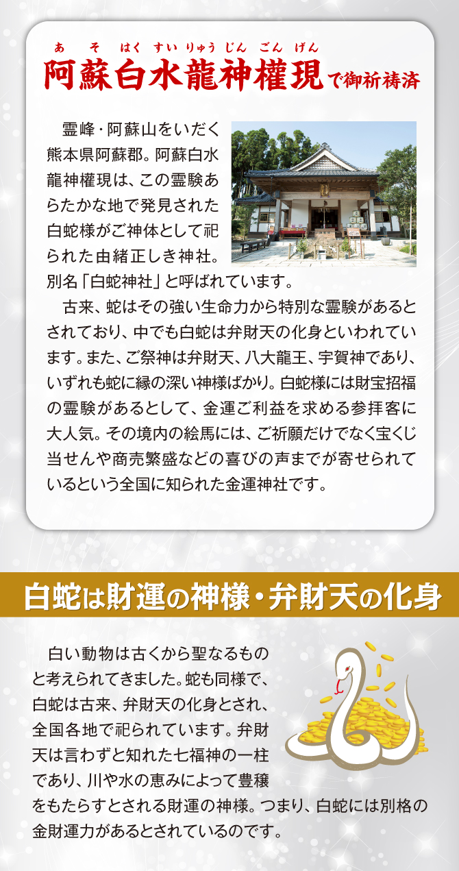 白蛇は財運の神様「弁財天」の使い。阿蘇白水龍神權現にてご祈祷済み