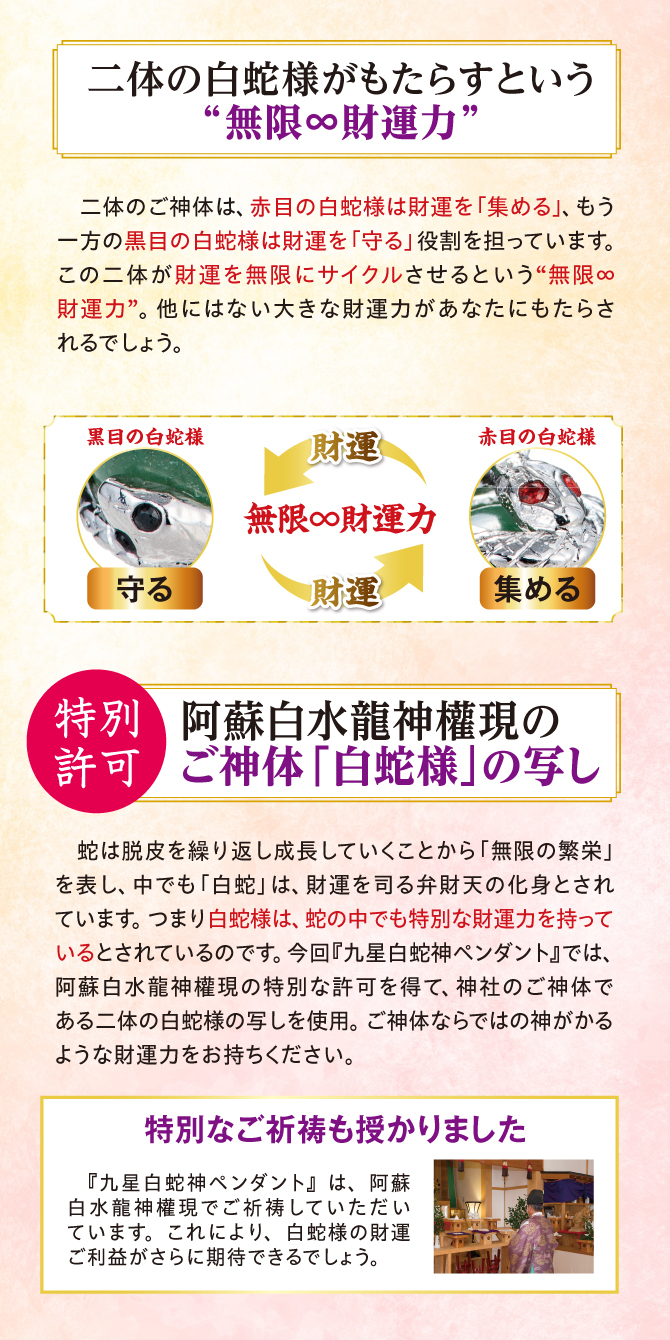二体の白蛇様がもたらすという「無限∞財運力」特別なご祈祷も授かりました
