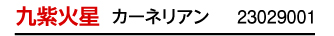 九紫火星 カーネリアン 23029001