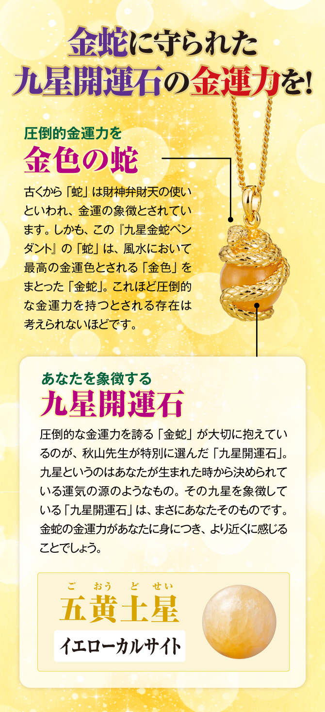 金蛇に守られた九星開運石の金運力を！圧倒的な金運力を誇る「金蛇」が大切に抱えているのが、秋山先生が特別に選んだ「九星開運石」