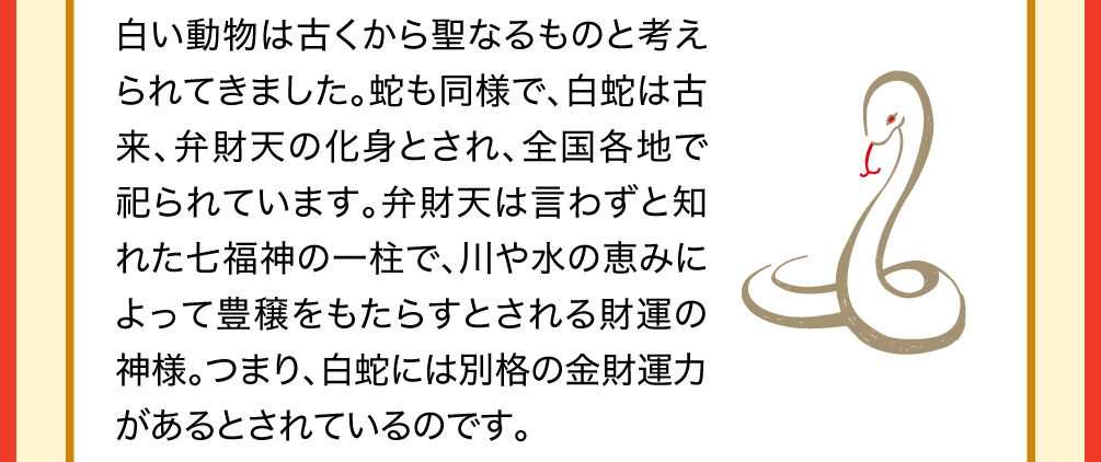 白い動物は古くから聖なるものと考えられてきました。蛇も同様で、白蛇は古来、弁財天の化身とされ、全国各地で祀られています。弁財天は言わずと知れた七福神の一柱で、川や水の恵みによって豊穣をもたらすとされる財運の神様。つまり、白蛇には別格の金財運力があるとされているのです。