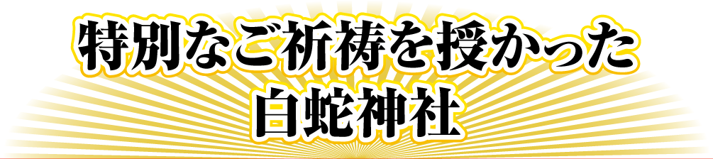 特別なご祈祷を授かった白蛇神社