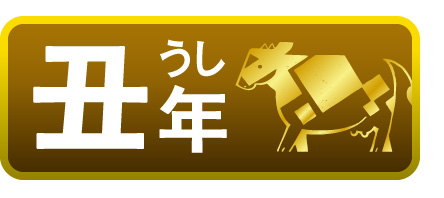 丑