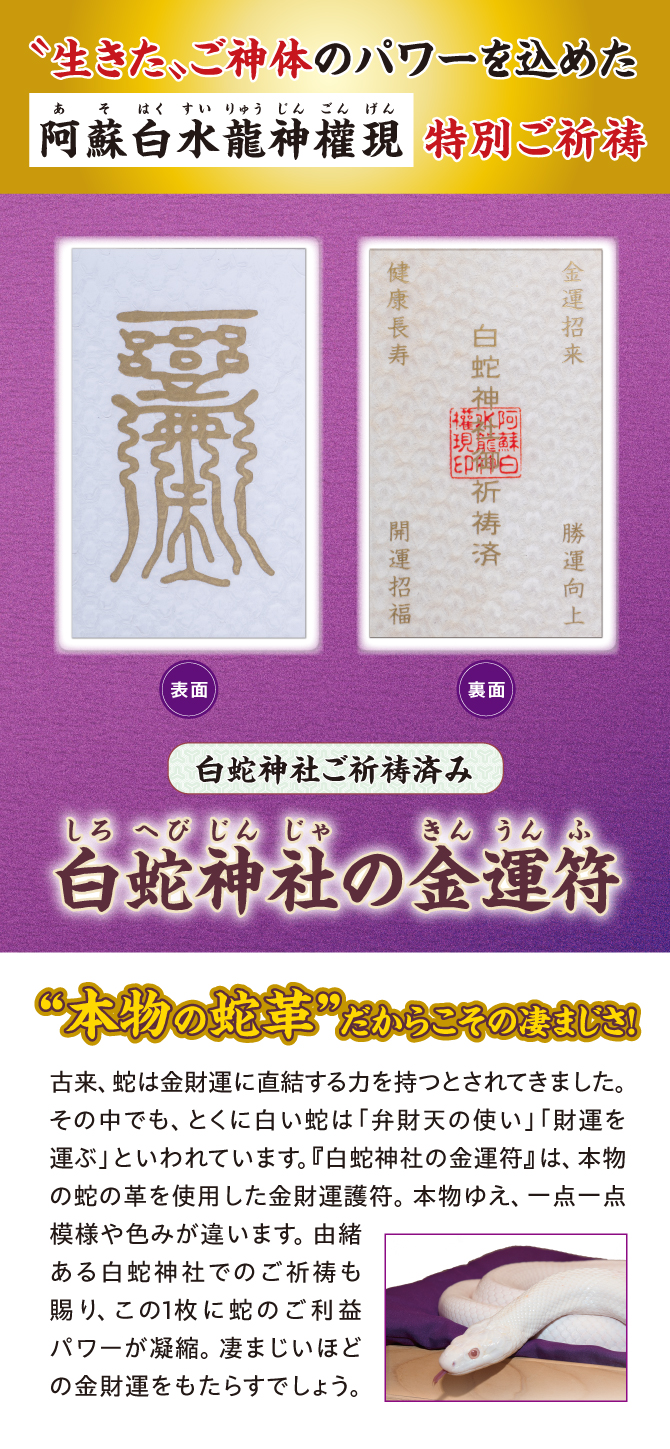 “生きた”ご神体のパワーを込めた阿蘇白水龍神權現「白蛇神社の金運符」