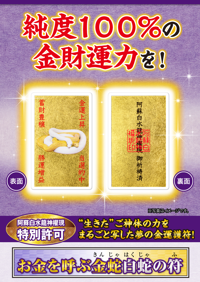 純度１００%の金財運力を！〈阿蘇白水龍神權現特別許可〉“生きた”ご神体の力をまるごと写した夢の金運護符！『お金を呼ぶ金蛇白蛇の符』