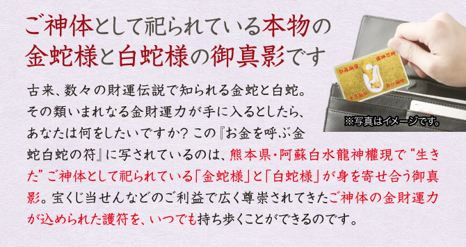 【ご神体として祀られている本物の白蛇様の御真影です】古来、数々の財運伝説で知られる白蛇。その類いまれなる金財運力が手に入るとしたら、あなたは何をしたいですか？ この『お金を呼ぶ金蛇白蛇の符』に写されているのは、熊本県・阿蘇白水龍神權現で“生きた”ご神体として祀られている「金蛇様」と「白蛇様」の御真影。この護符を携えれば、宝くじ当せんなどのご利益で広く尊崇されてきた白蛇様の金財運力を、いつでも持ち歩くことができるのです。
