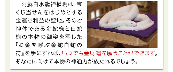 阿蘇白水龍神權現は、宝くじ当せんをはじめとする金運ご利益の聖地。そのご神体である白蛇様の本物の御姿を写した『お金を呼ぶ金蛇白蛇の符』を手にすれば、いつでも金財運を願うことができます。あなたに向けて本物の神通力が放たれるでしょう。