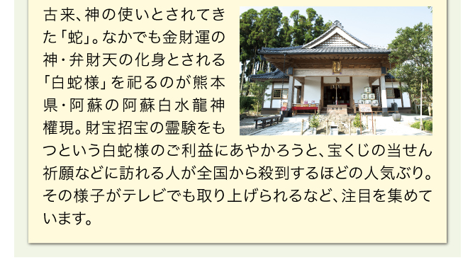 古来、神の使いとされてきた「蛇」。なかでも金財運の神・弁財天の化身とされる「白蛇様」を祀るのが熊本県・阿蘇の阿蘇白水龍神權現。財宝招宝の霊験をもつという白蛇様のご利益にあやかろうと、宝くじの当せん祈願などに訪れる人が全国から殺到するほどの人気ぶり。その様子がテレビでも取り上げられるなど、注目を集めています。