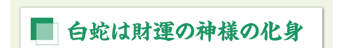 白蛇を身近に金運ご利益の秘訣