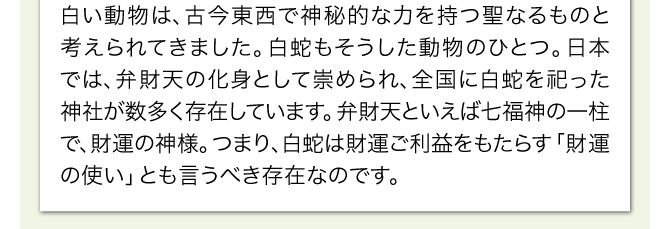 世界各地でも白蛇は神聖視されており、住み着いた家は金財運に恵まれるといわれ、「幸運の家」と呼ばれることも。さらに、蛇の抜け殻を持つと金運に良いとされることからも、白蛇を身近にすることによって、より強くご利益へと導いてくれるといえるでしょう。