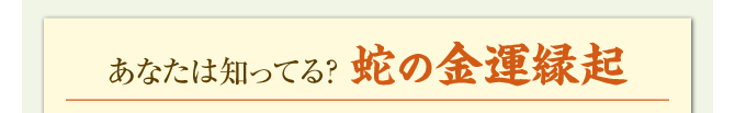 あなたは知ってる？ 蛇の金運縁起