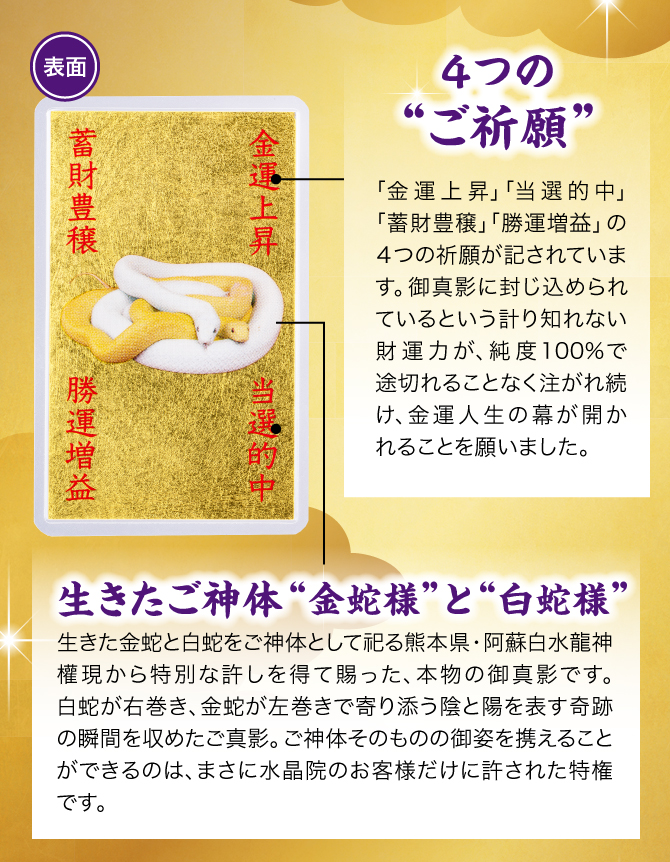 【表面】４つの“ご祈願”…「金運上昇」「当選的中」「蓄財豊穣」「勝運増益」の４つの祈願が記されています。／生きたご神体“白蛇様”…阿蘇白水龍神權現のご神体である白蛇様の御姿の写真が護符の中央に施されています。