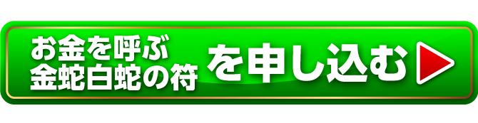 『お金を呼ぶ金蛇白蛇の符』を申し込む