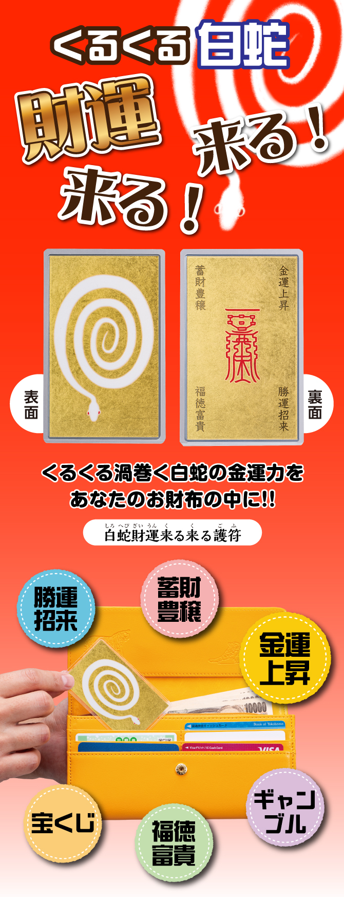 くるくる白蛇！財運来る来る！「白蛇財運来る来る護符」
