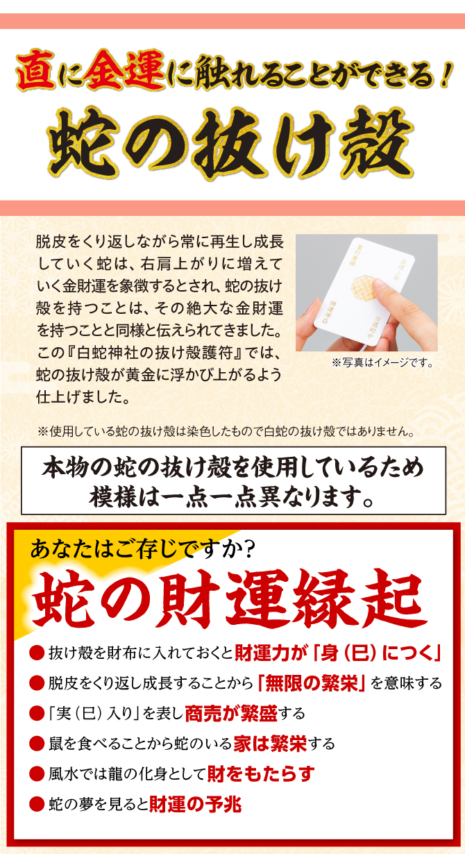 直に金運に触ることができる！蛇の抜け殻