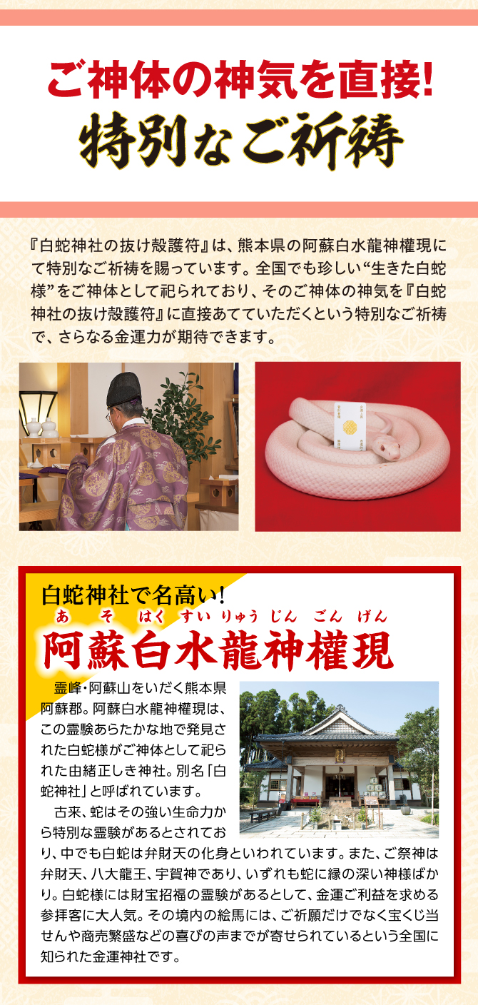 特別なご祈祷！阿蘇白水龍神權現でご祈祷済み