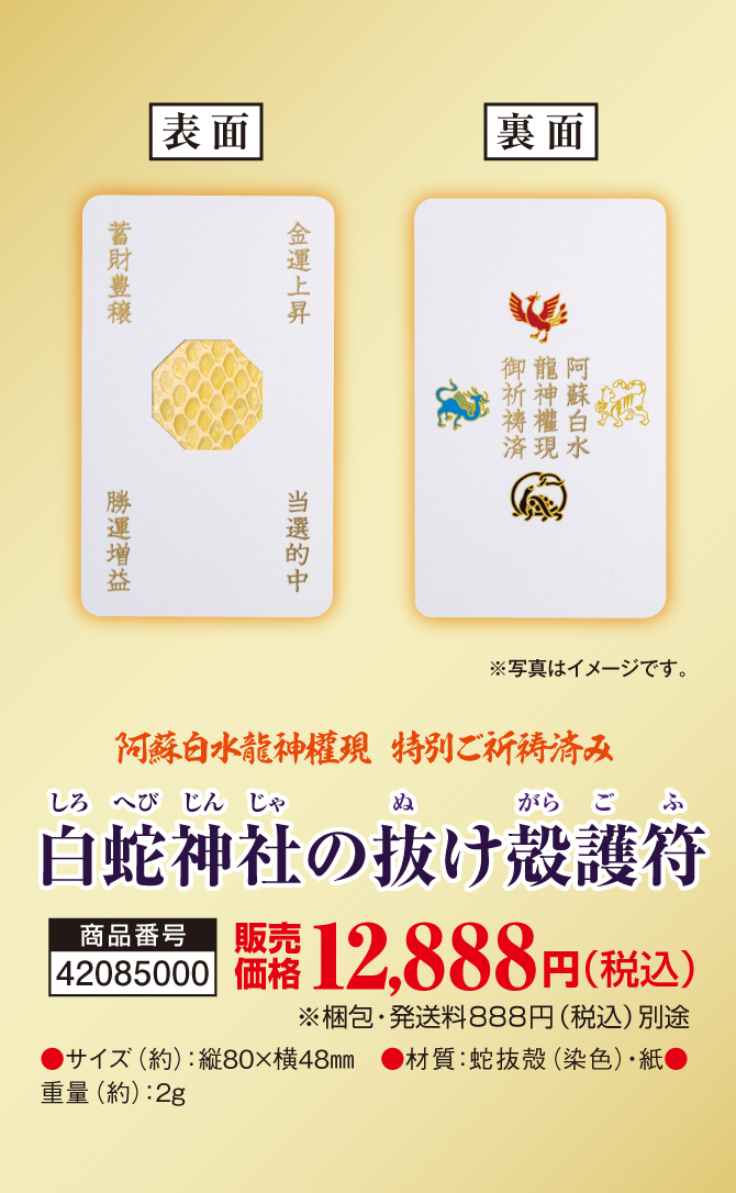 11月1日（金）限定販売！阿蘇白水龍神權現特別ご祈祷済み「白蛇神社の抜け殻運符」