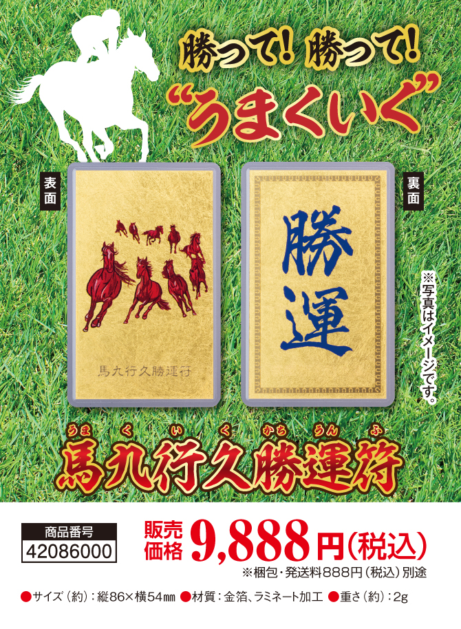 勝って勝って“うまくいく”「馬九行久勝運符」