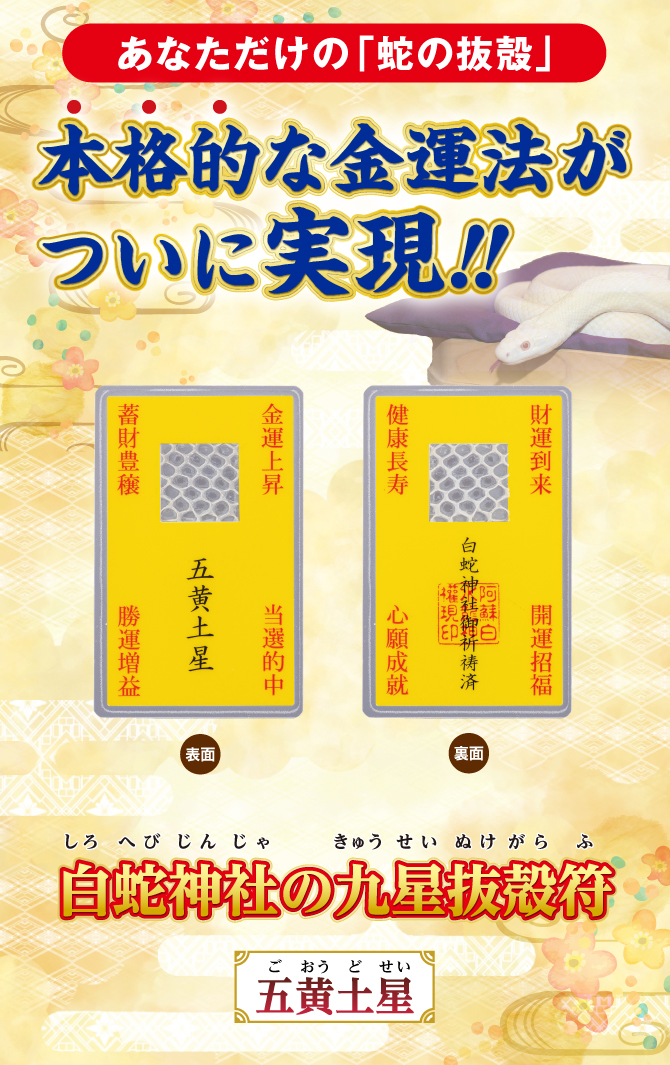 開運鑑定士チエ・エレナ先生監修！あなただけの蛇の抜殻『白蛇神社の九星抜殻符』