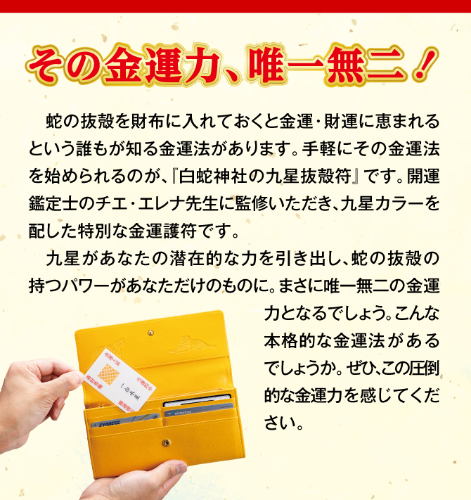 蛇の抜殻を財布に入れておくと金運・財運に恵まれるという金運法