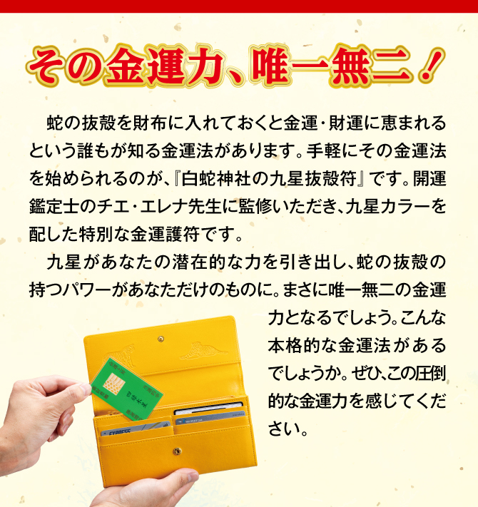 蛇の抜殻を財布に入れておくと金運・財運に恵まれるという金運法
