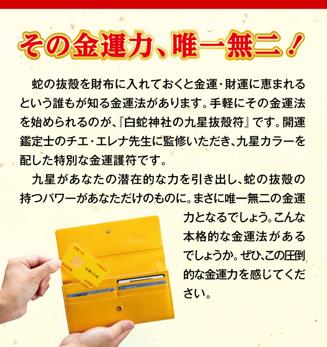 蛇の抜殻を財布に入れておくと金運・財運に恵まれるという金運法