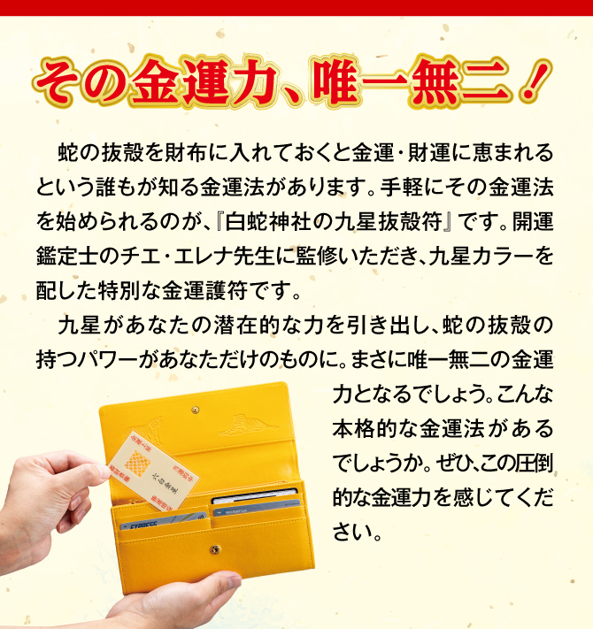 蛇の抜殻を財布に入れておくと金運・財運に恵まれるという金運法