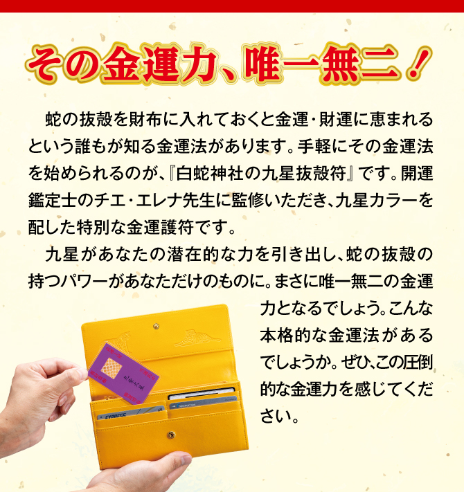 蛇の抜殻を財布に入れておくと金運・財運に恵まれるという金運法