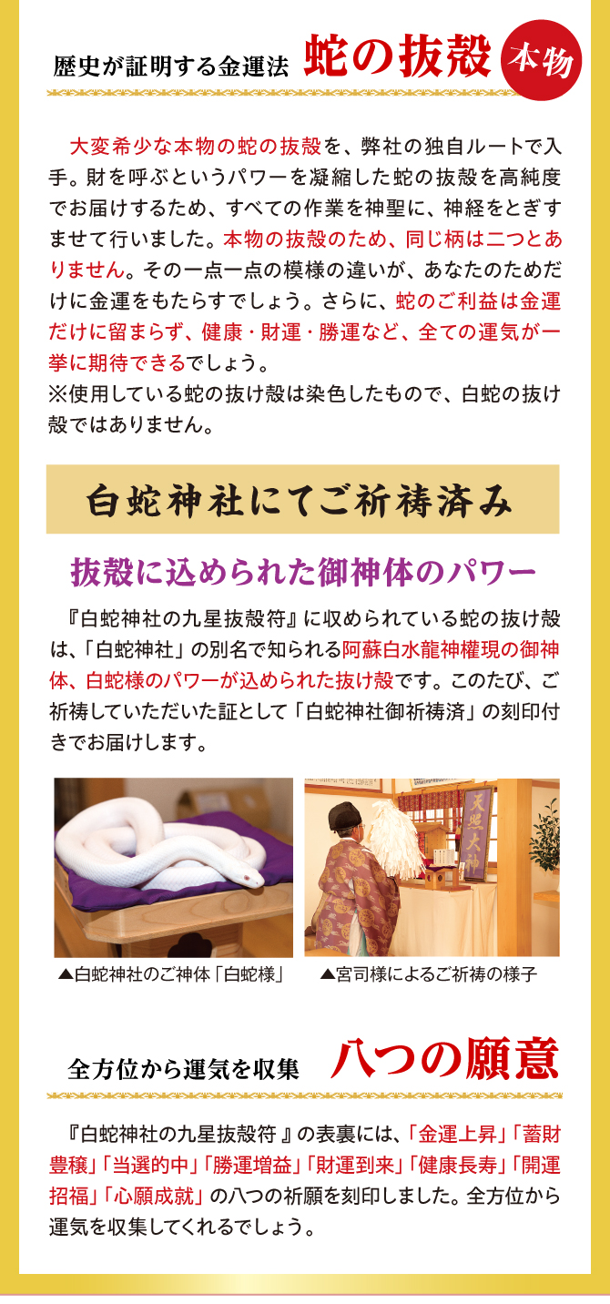 阿蘇白水龍神權現にてご祈祷済み