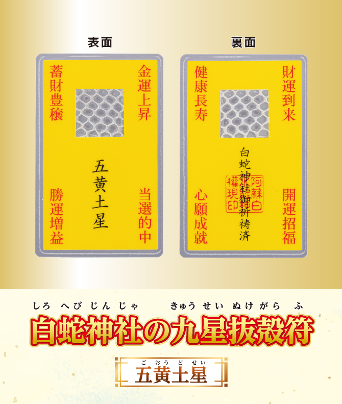 開運鑑定士チエ・エレナ先生監修『白蛇神社の九星抜殻符』