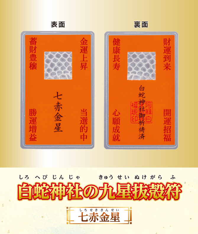 開運鑑定士チエ・エレナ先生監修『白蛇神社の九星抜殻符』