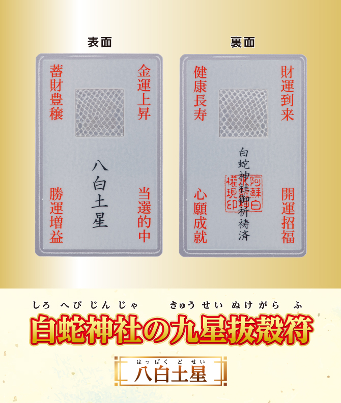 開運鑑定士チエ・エレナ先生監修『白蛇神社の九星抜殻符』