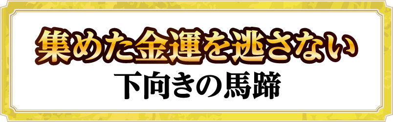 集めた金運を逃さない下向きの馬蹄