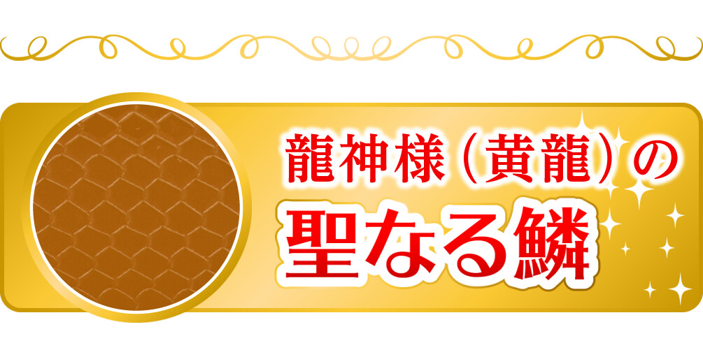 龍神様(黄龍)の聖なる鱗