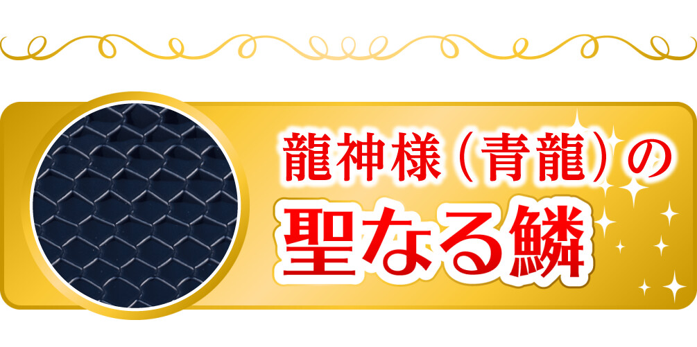 龍神様(青龍)の聖なる鱗