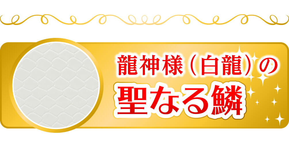 龍神様(白龍)の聖なる鱗
