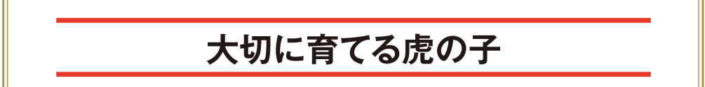 大切に育てる虎の子