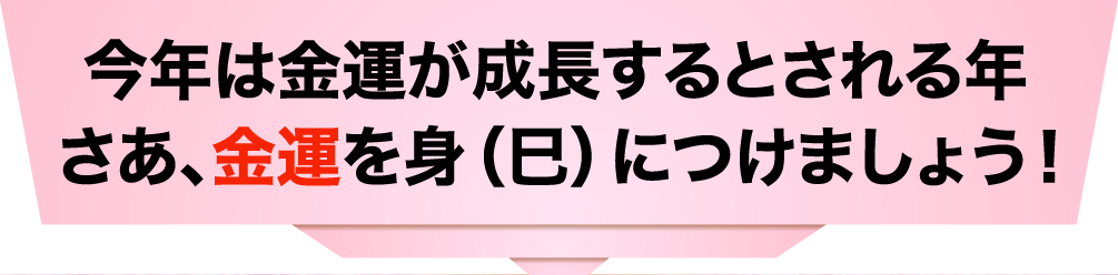 今年は金運が成長するとされる年。さあ、金運を身（巳）につけましょう！!