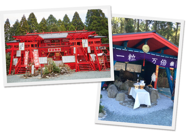 宝来宝来神社