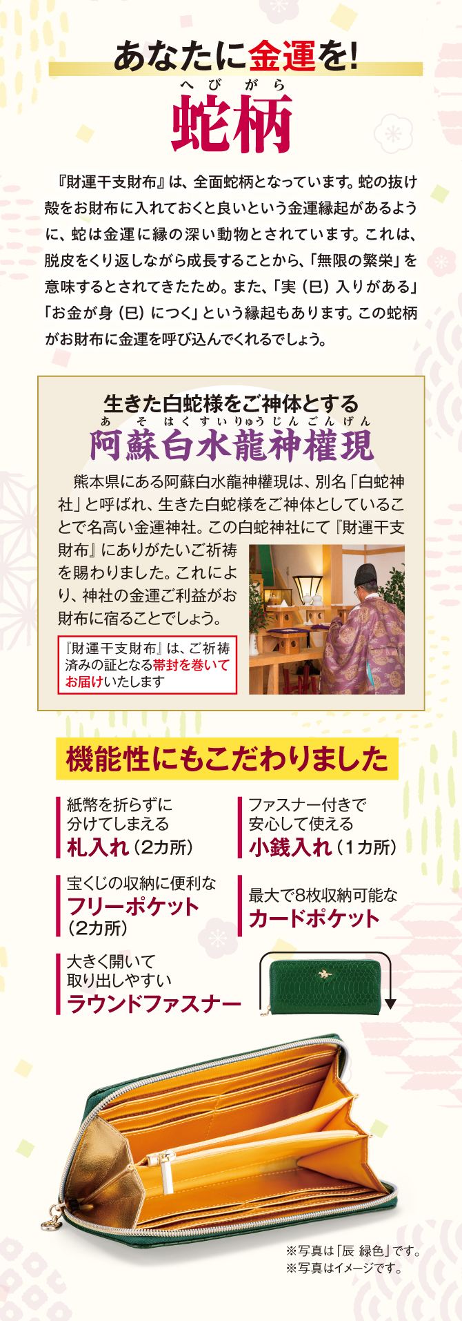 生きた白蛇様をご神体とする阿蘇白水龍神權現にてご祈祷済み