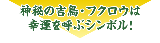 神秘の吉鳥・フクロウは幸運を呼ぶシンボル！