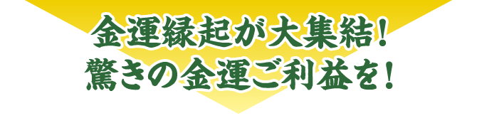 金運縁起が大集結！驚きの金運ご利益を！