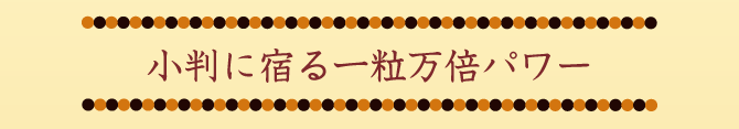 小判に宿る一粒万倍パワー