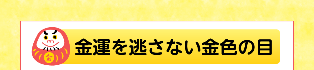 金運を逃さない金色の目