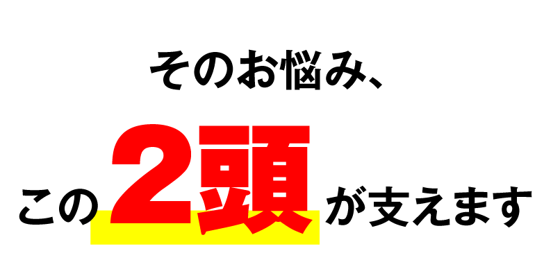 そのお悩み、この２頭が支えます