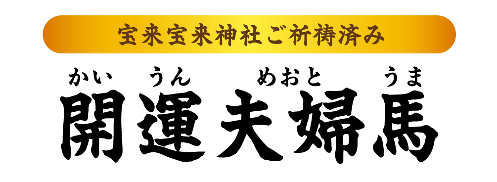 宝来宝来神社ご祈祷済み 開運夫婦馬