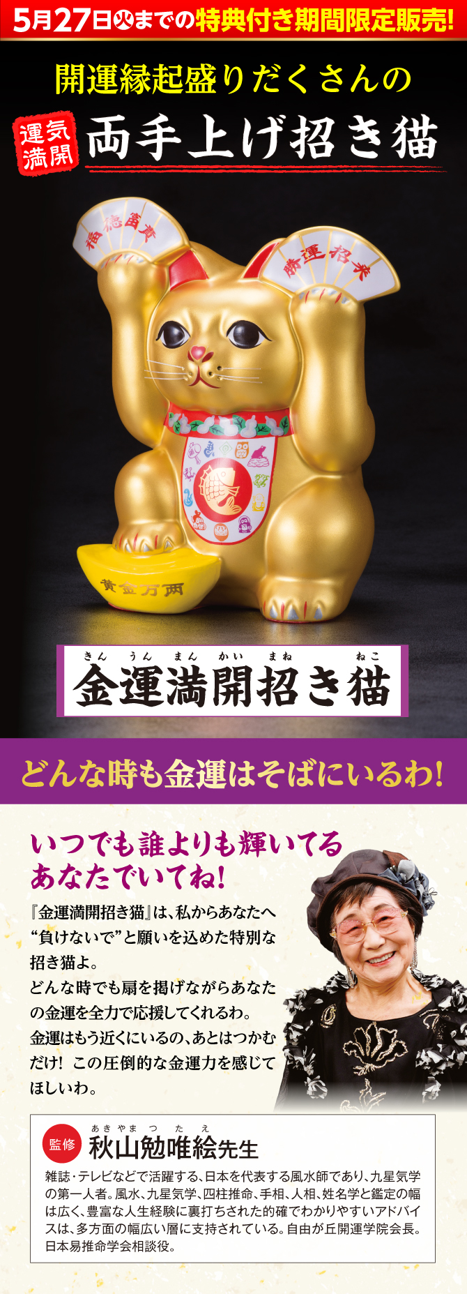 5月27日(火)までの限定販売！開運縁起盛りだくさんの両手上げ招き猫！秋山勉唯絵先生監修『金運満開招き猫』